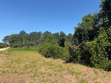 Timberland Property for sale in Houston County, Alabama