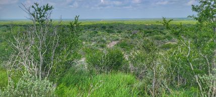Farm and Ranch for sale in Zapata County, Texas