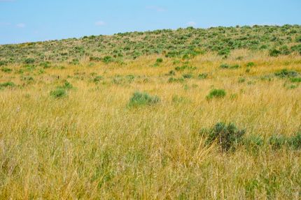 Land for sale in Logan County, Colorado