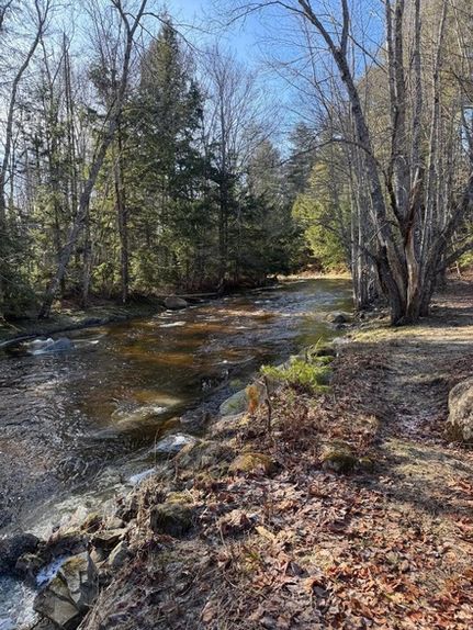 Hunting Property for sale in Waldo County, Maine