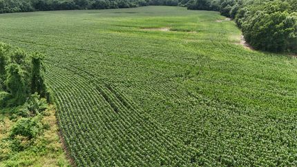 Farm and Ranch for sale in Cherokee County, Kansas