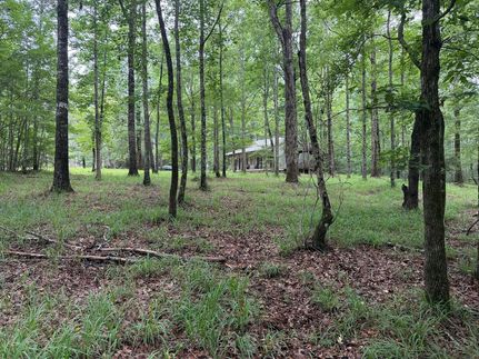 Undeveloped Land for sale in Simpson County, Mississippi