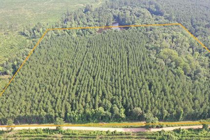 Undeveloped Land for sale in Ouachita County, Arkansas