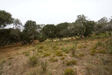 Land for sale in Monterey County, California
