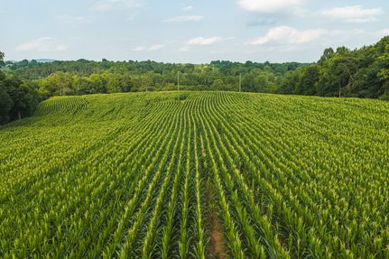 Farm and Ranch for sale in Caldwell County, North Carolina