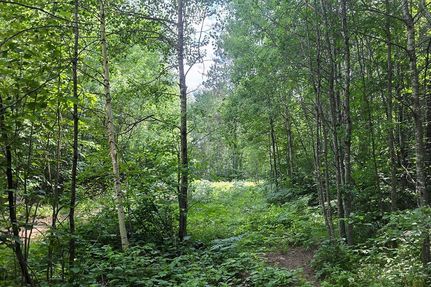 Timberland Property for sale in Oneida County, Wisconsin