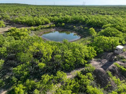 Farm and Ranch for sale in Coleman County, Texas