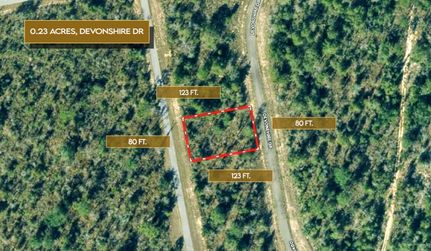 Undeveloped Land for sale in Washington County, Florida
