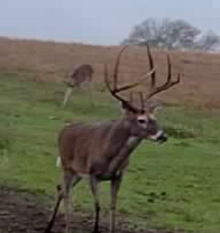 Land for sale in Leon County, Texas