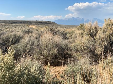 Undeveloped Land for sale in Costilla County, Colorado