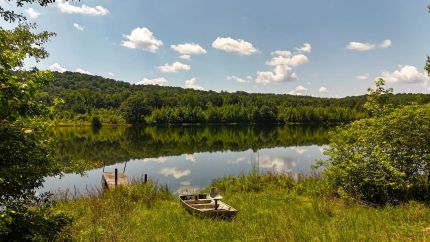 Undeveloped Land for sale in Walker County, Alabama