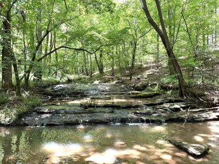 Farm and Ranch for sale in Madison County, Georgia