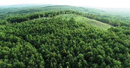 Farm and Ranch for sale in Caledonia County, Vermont