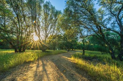 Farm and Ranch for sale in Nevada County, California