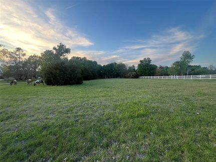 Timberland Property for sale in Rockwall County, Texas