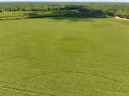 Land for sale in Dougherty County, Georgia