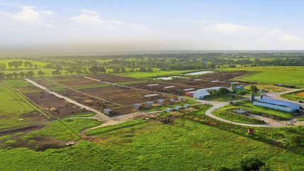 Timberland Property for sale in Erath County, Texas