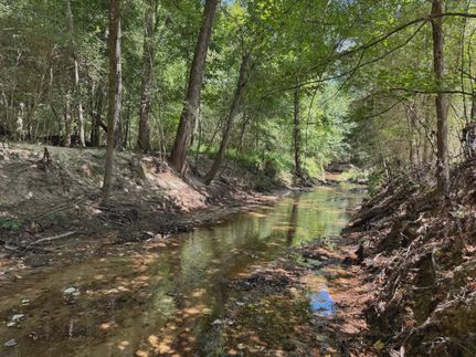 Recreational Property for sale in Leon County, Texas