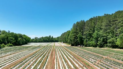 Farm and Ranch for sale in Rutherford County, North Carolina