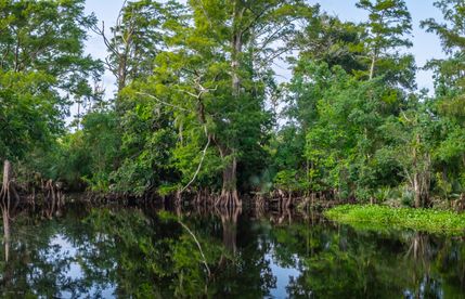 Land for sale in Jefferson County, Texas
