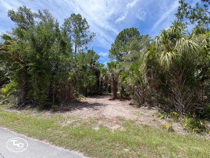 Recreational Property for sale in Levy County, Florida