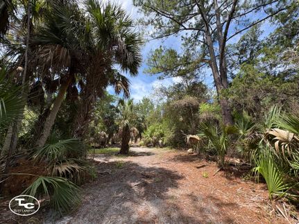 Land for sale in Levy County, Florida