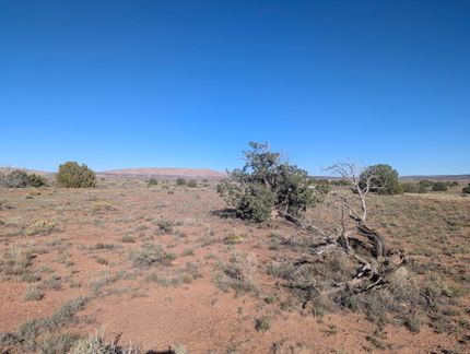 Timberland Property for sale in Apache County, Arizona