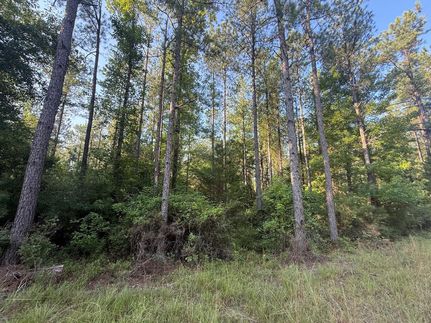 Land for sale in Quitman County, Georgia
