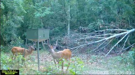 Timberland Property for sale in Brown County, Ohio