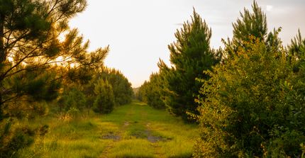 Recreational Property for sale in Crisp County, Georgia