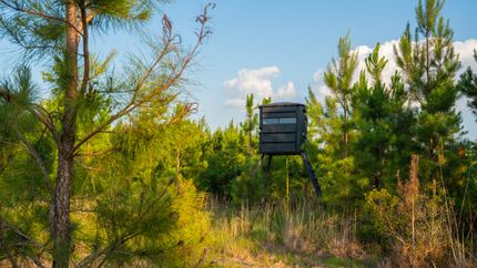 Farm and Ranch for sale in Crisp County, Georgia
