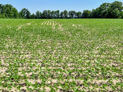 Farm and Ranch for sale in Wells County, Indiana