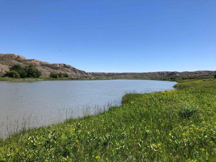 Farm and Ranch for sale in Chouteau County, Montana