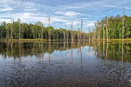Recreational Property for sale in Panola County, Texas