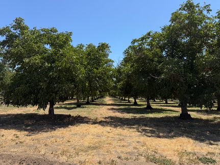 Farm and Ranch for sale in Yolo County, California
