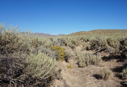 Timberland Property for sale in Elko County, Nevada