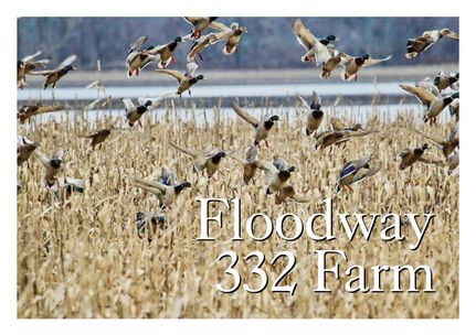 Farm and Ranch for sale in Craighead County, Arkansas