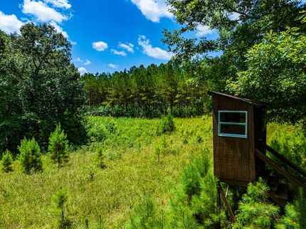 Farm and Ranch for sale in Benton County, Tennessee