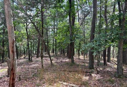 Hunting Property for sale in Hampshire County, West Virginia