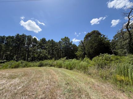Undeveloped Land for sale in Leon County, Texas