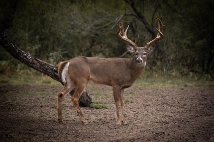Recreational Property for sale in Kinney County, Texas