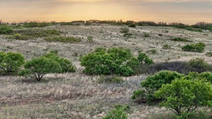 Farm and Ranch for sale in Cottle County, Texas