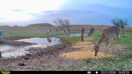Land for sale in Alfalfa County, Oklahoma