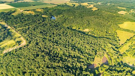 Farm and Ranch for sale in Knox County, Missouri