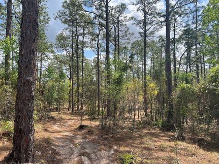 Timberland Property for sale in Levy County, Florida