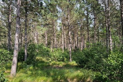 Hunting Property for sale in Adams County, Wisconsin