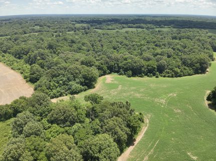 Timberland Property for sale in Carlisle County, Kentucky