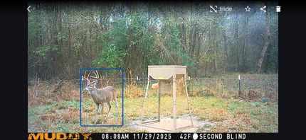 Land for sale in Cass County, Texas
