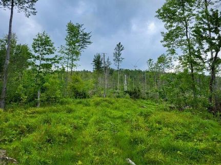 Recreational Property for sale in Aroostook County, Maine
