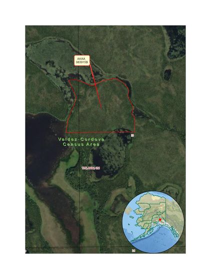Land for sale in Copper River Borough, Alaska